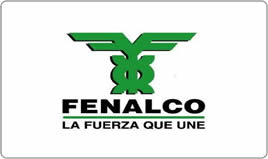 Aliado 8